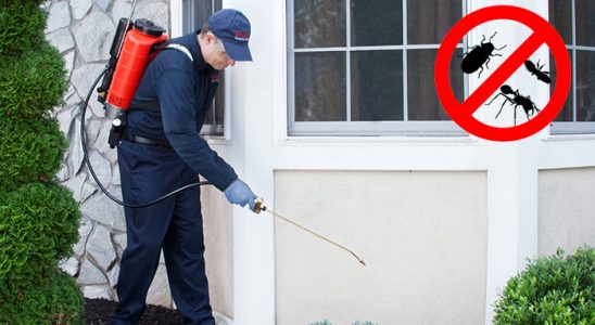 Onikişubat Kene İlaçlama böcek ilaçlama ve haşere kontrolü — ilaclama-tr.com